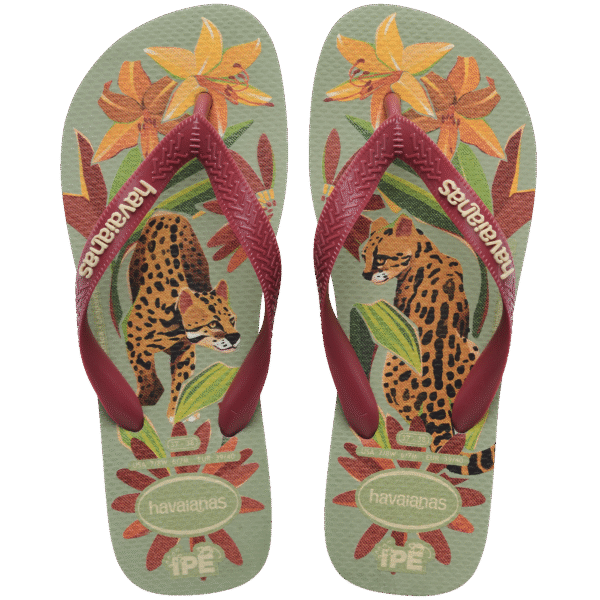 Chinelo Havaianas Ipê - Imagem 2