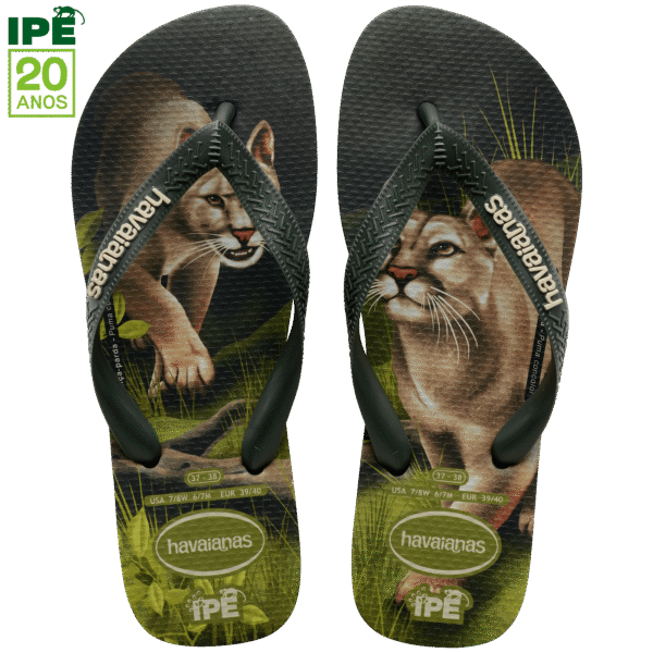 Chinelo Havaianas Ipê - Imagem 6