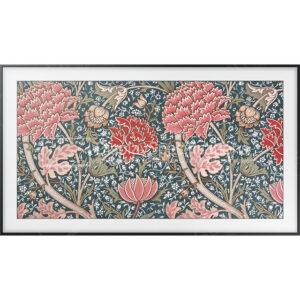 Samsung QN43LS03R - Display Completo